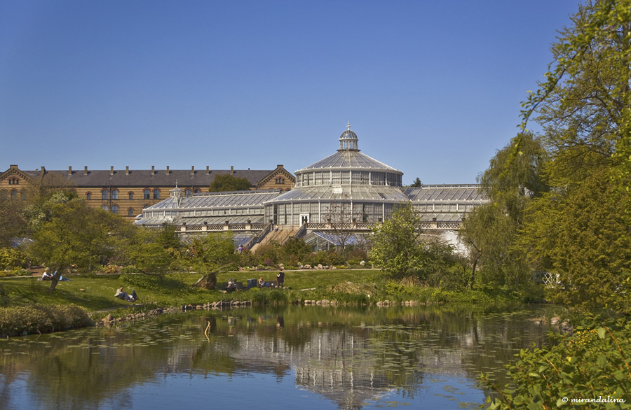botanic_garden_sad_kopengagen_6.jpg