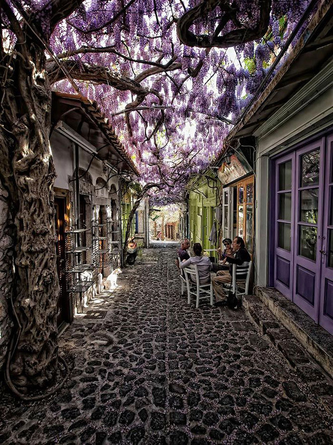 molyvos_lesbos_greciya.jpg