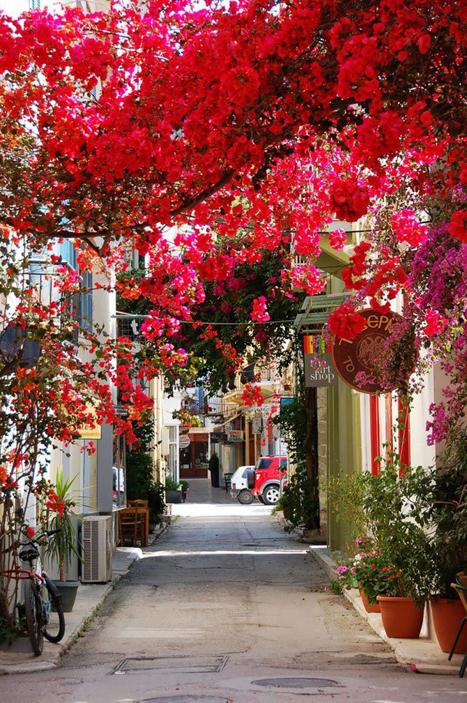nafplion_greciya.jpg