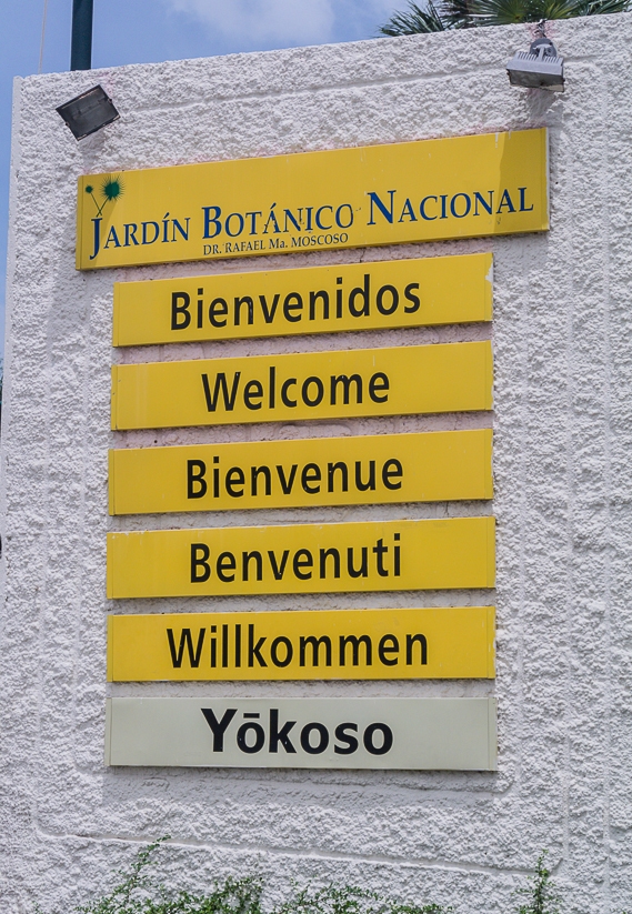 botanicheskii_sad_santo_domingo_24.jpg