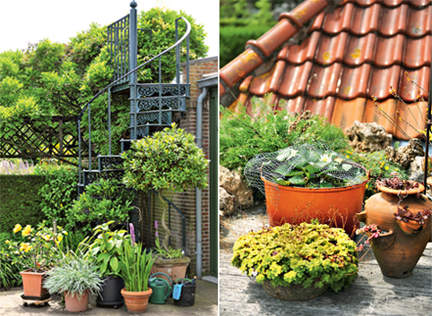 sadi_belgii_mistectvo_topiary_6.jpg