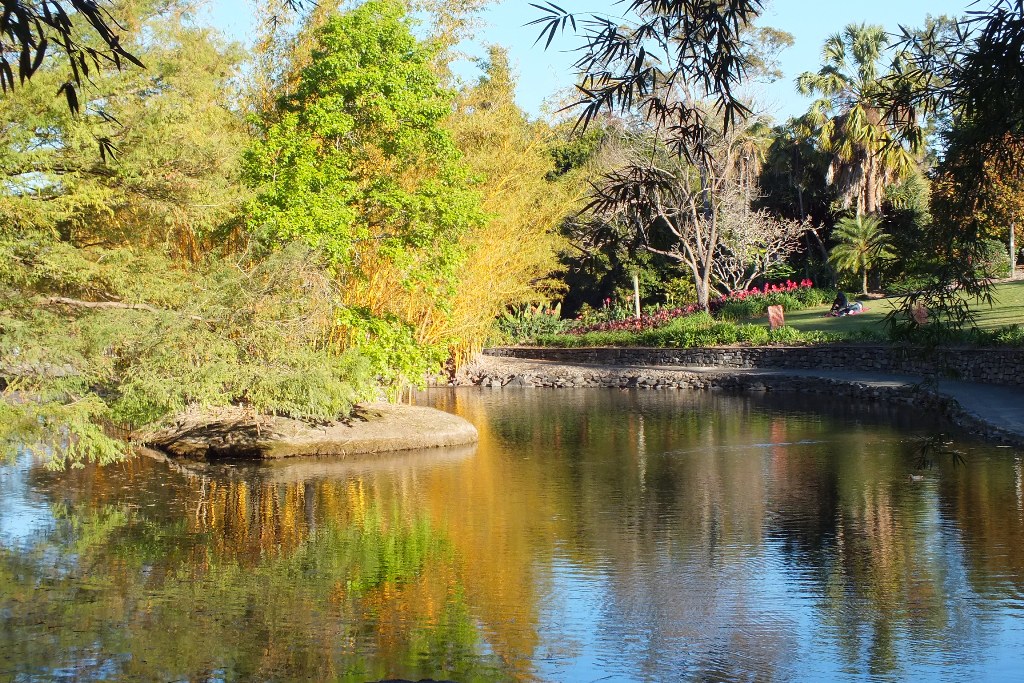 botanichnii_sad_mount_coot_tha_31.jpg