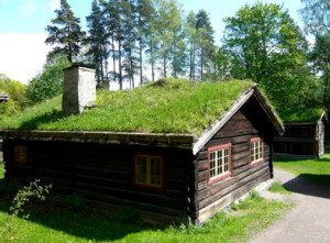 stvoruemo_gazon_na_dahy_bydinky.jpg