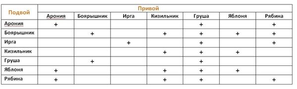 sho_sadivnikovi_potribno_znati_pro_sheplennya_8.jpg