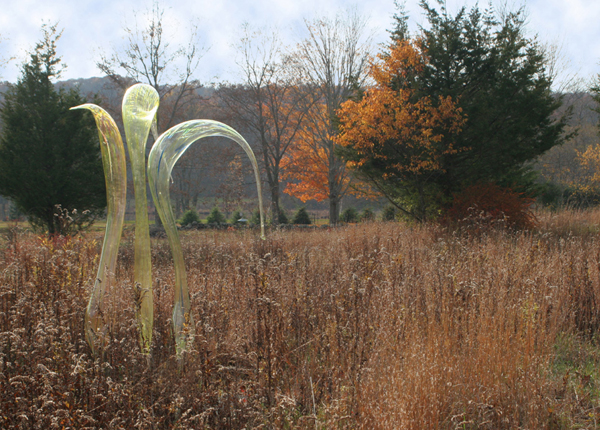 sovremennoe_iskysstvo_v_prirode_6.jpg