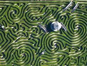ysadba_longlit_longleat_zelenii_labirint.jpg