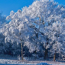 january