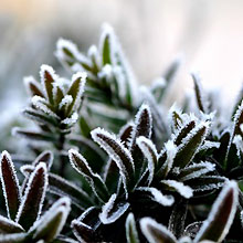 december
